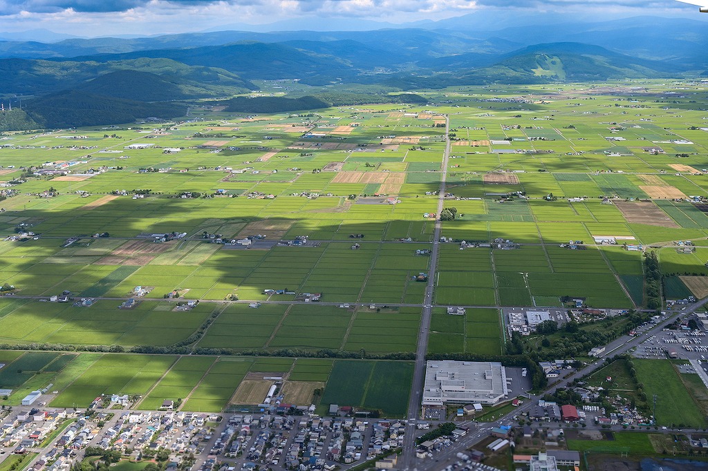 【保存版】東旭川のランチならここ！カップルのデートや記念日にもおすすめ【北海道グルメ通が徹底ガイド】ラーメン・洋食・和食・スープカレー・焼肉も