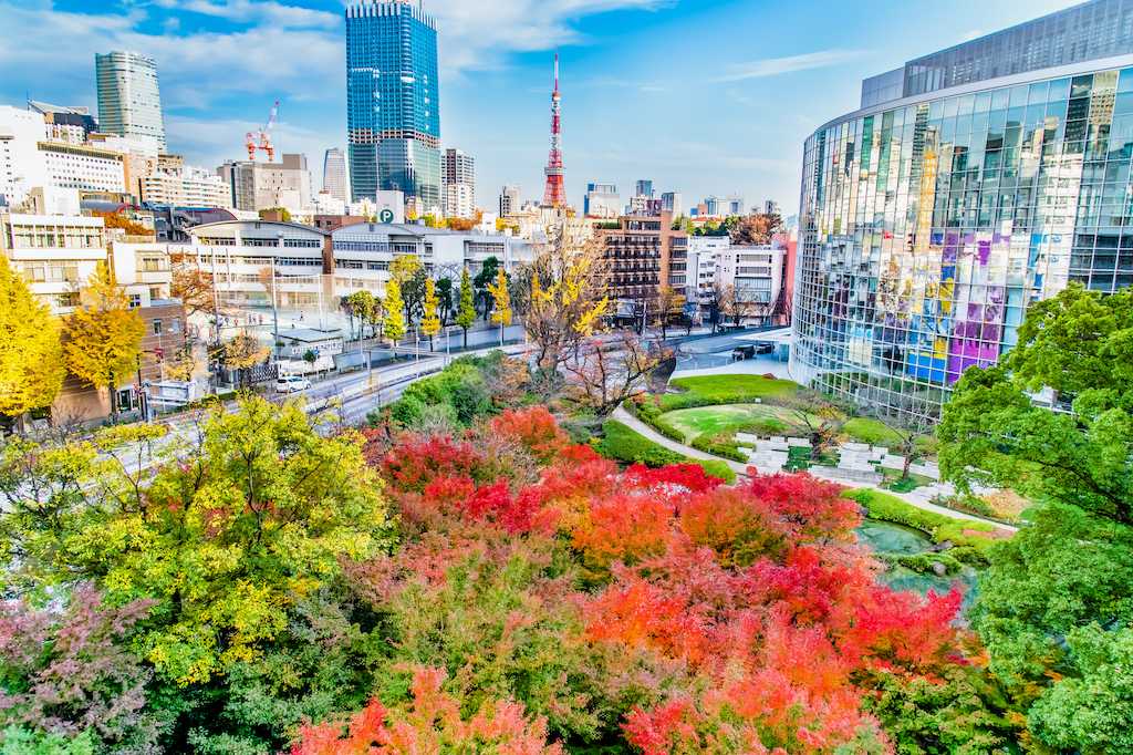 東京の観光スポット30選！湾岸夜景・リフレッシュ・博物館など旅行好きな筆者が紹介！