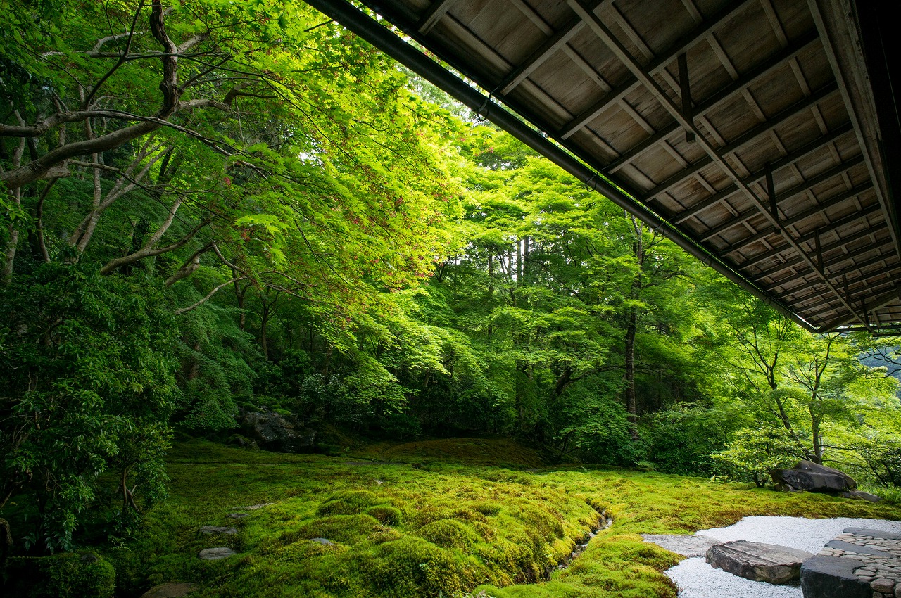 【2024年版】京都市の癒しスポット30選！穴場絶景・ミュージアム・特別拝観など旅行好きな筆者が紹介