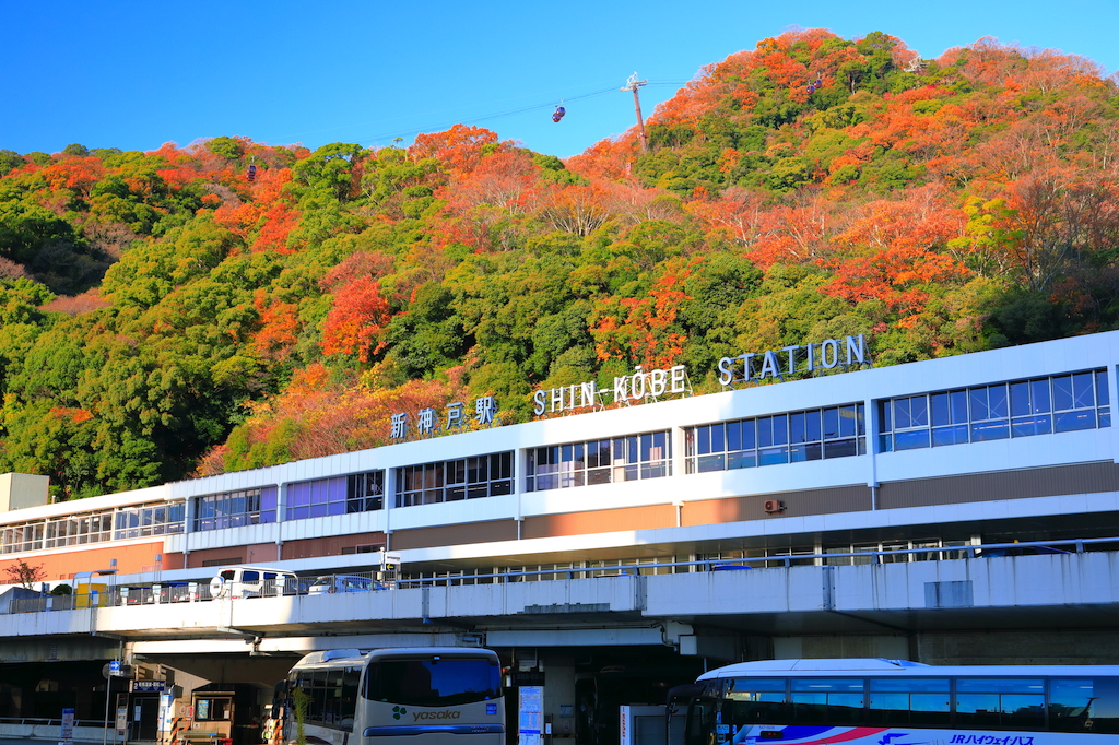 神戸の紅葉を堪能できるおすすめスポット15選！公園・庭園・寺など神戸で生まれ育って30年の筆者が紹介