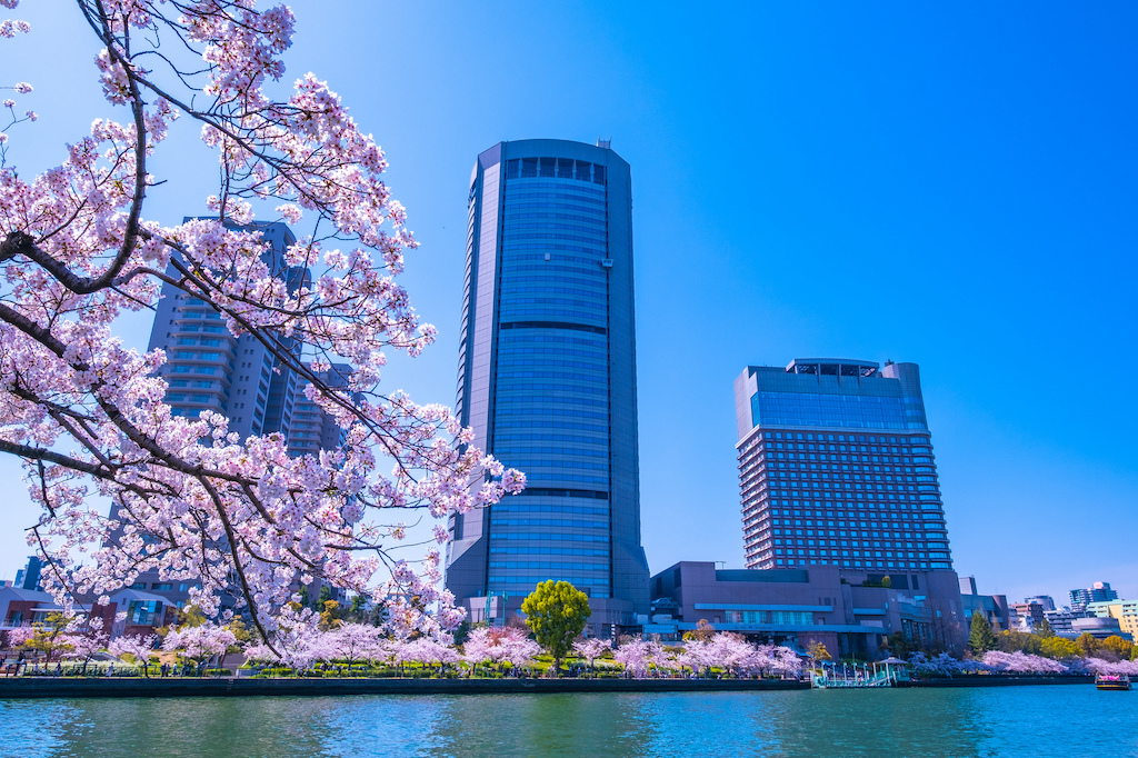 大阪市の花見スポット15選！公園・寺社・観光地など大阪でたくさん遊んだ経験を持つ筆者が紹介