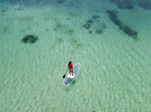 海の見えるビーチで食事も楽しめる「株式会社セルリアンブルー」